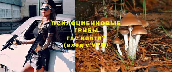 гидропоника Сафоново