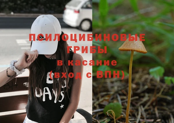 молекула духа Абинск