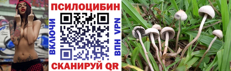 Псилоцибиновые грибы GOLDEN TEACHER  Белый 